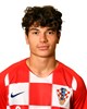 Jakov Blagaić