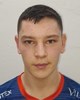 Milan Kralj